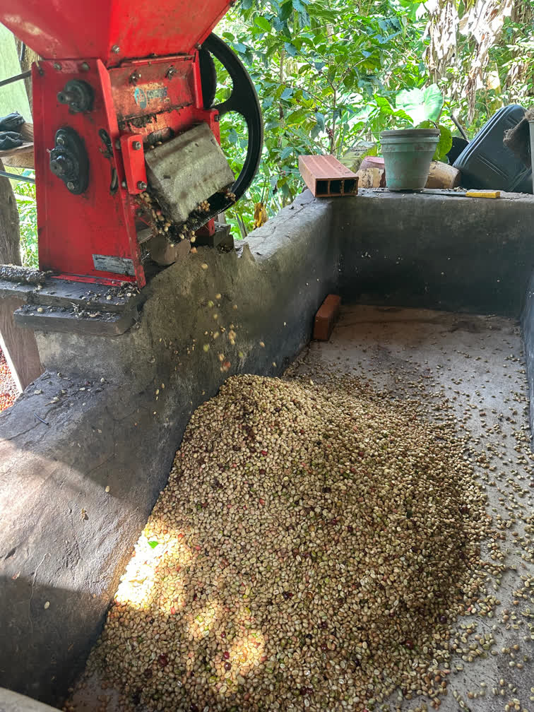 Integrated Export & Logistics Solutions