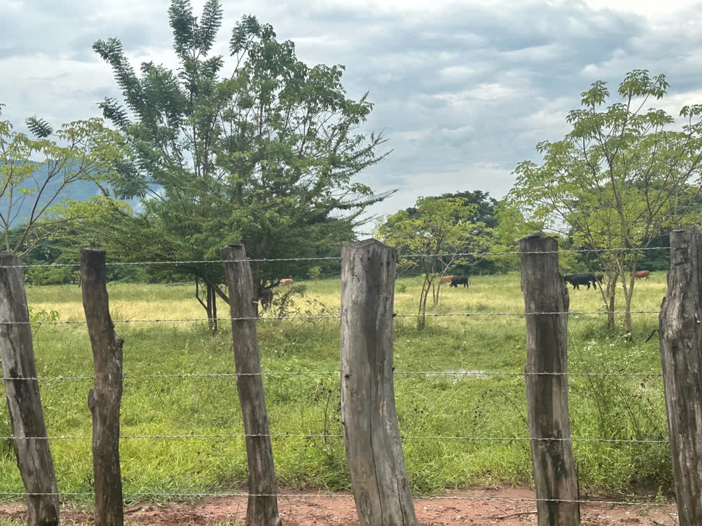A secure, sealed shipping container ready for export, symbolizing Alba Export's reliable logistics.