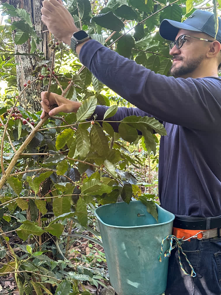 Fine-Flavor Cacao Sourcing & Export from Colombia
